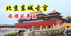 美女没马赛克粉逼中国北京-东城古宫旅游风景区